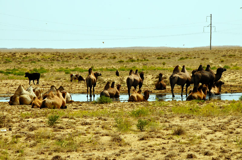 Kazakhstan, Asie Centrale